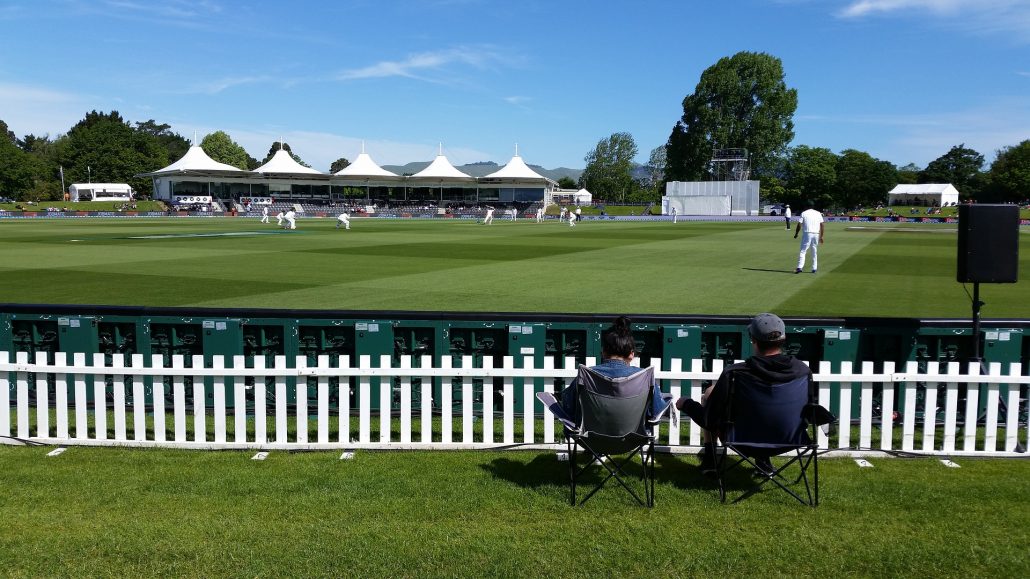 cricket-2511043_1920